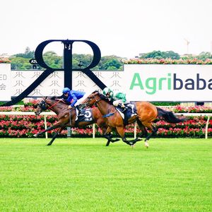 Image post by @australianturfclub on Instagram