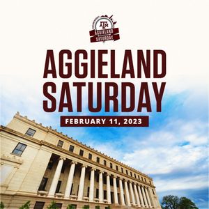 Image post by @tamu on Instagram