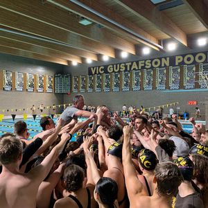 Image post by @gustieswimdive on Instagram