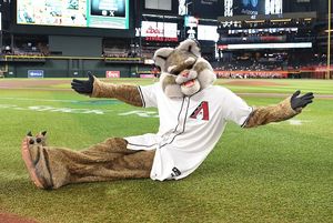 Image post by @dbacksbaxter on Instagram