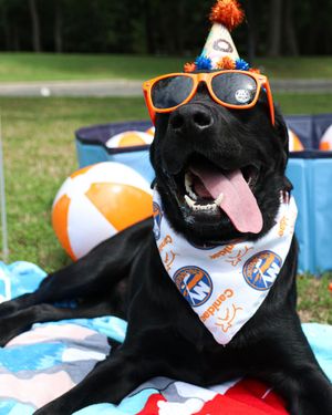 Image post by @NYIslanders on Twitter