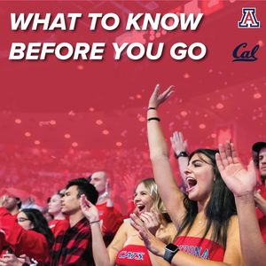 Image post by @zonazooofficial on Instagram