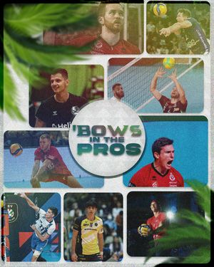 Image post by @hawaiimvb on Instagram