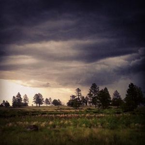 Image post by @nauflagstaff on Instagram