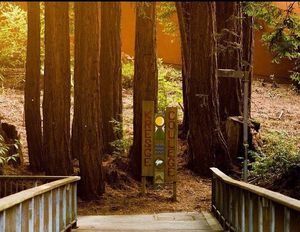 Image post by @ucsc on Instagram