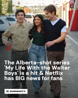 Image post by @curiocitycalgary on Instagram