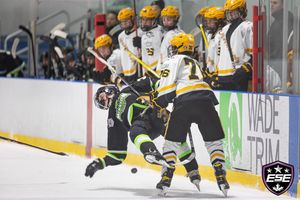 Image post by @esehockey on Instagram