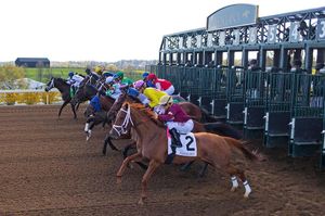 Image post by @michaelmreaves on Instagram