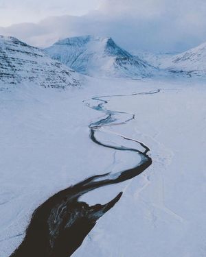Image post by @discovery on Instagram