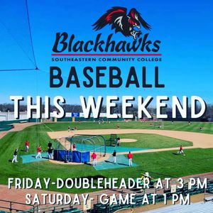 Image post by @burlington_bees on Instagram