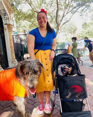 Image post by @thesavannahwolfhound on Instagram
