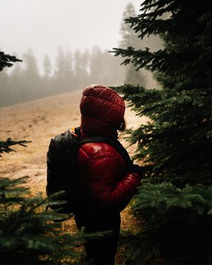 Image post by @natenvnez on Instagram