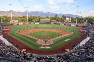 Image post by @saltlakebees on Instagram