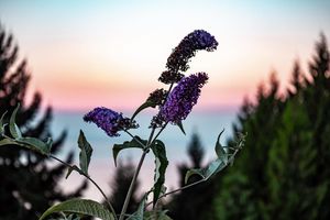 Image post by @jfriedrich on Instagram