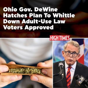 Image post by @hightimesmagazine on Instagram