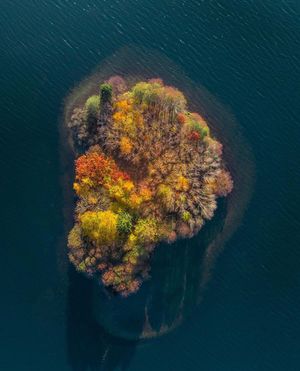 Image post by @dronepals on Instagram