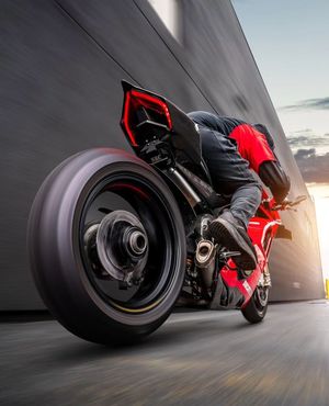 Image post by @panigalers on Instagram