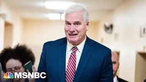 Video post by @msnbc on YouTube