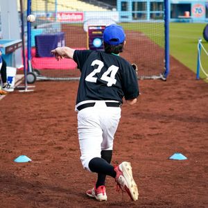 Image post by @mlbpitchhitrun on Instagram