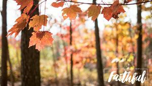 Image post by @crosslink_va on Instagram