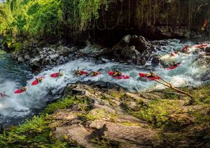 Image post by @nicktroutmankayak on Instagram