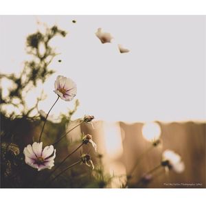 Image post by @hellomeridian on Instagram
