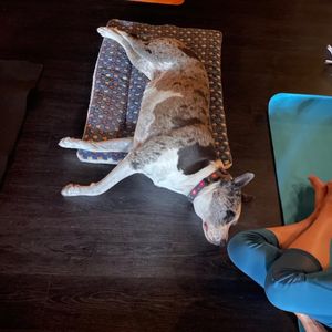 Image post by @zeetabody on Instagram