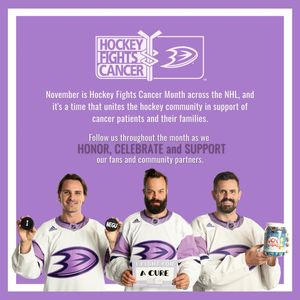 Image post by @anaheimducksfoundation on Instagram