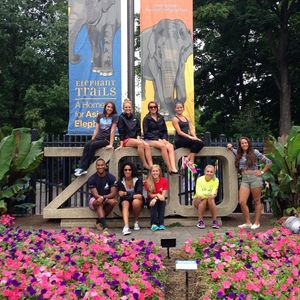 Image post by @marylandcheer on Instagram