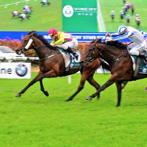 Image post by @australianturfclub on Instagram