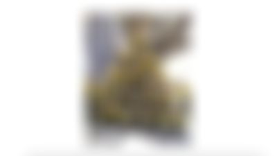 Video post by @BALLYSPORTSAZ on Twitter