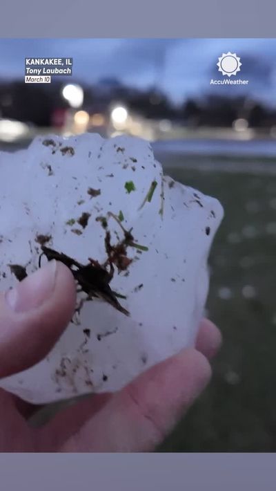 Video post by @accuweather on Instagram