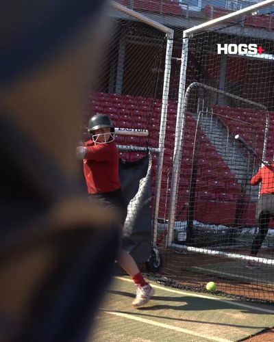 Video post by @HogsPlus on Twitter