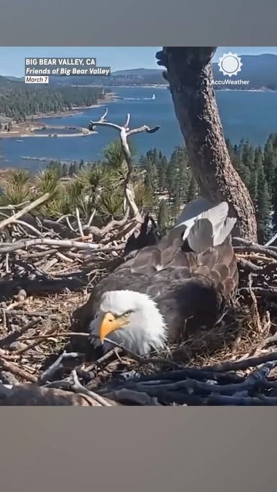 Video post by @accuweather on Twitter