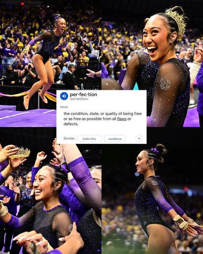Image post by @LSUgym on Twitter