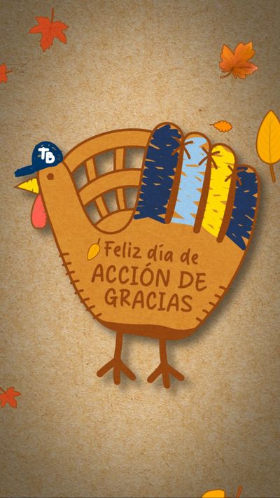 Video post by @raysbeisbol on Instagram