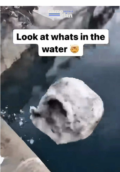 Video post by @7evin7ins_vault on TikTok