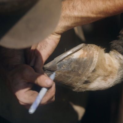 Video post by @americanfarriers on Instagram