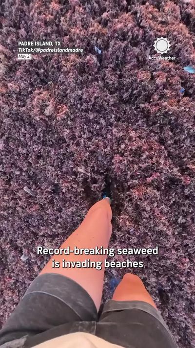 Video post by @accuweather on TikTok