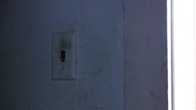 Video post by @OU_WBBall on Twitter