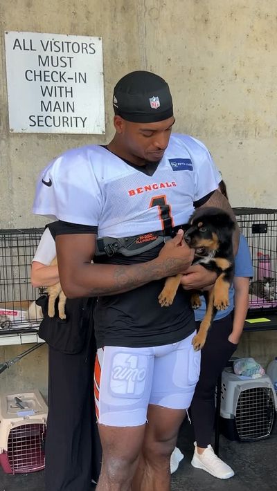 Video post by @bengals on Instagram