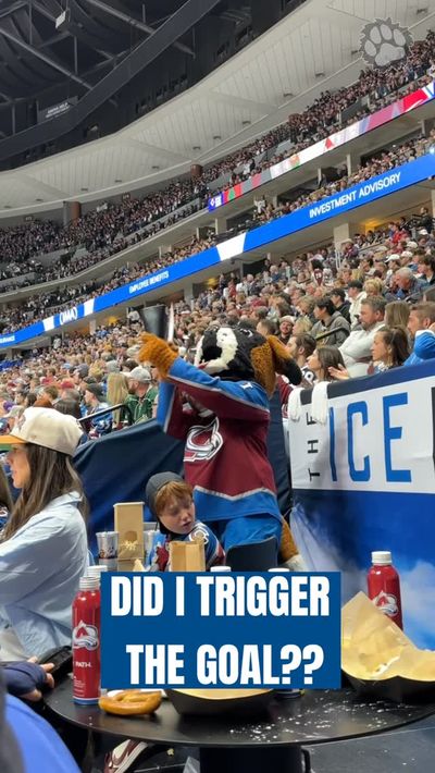 Video post by @avsbernie on Instagram