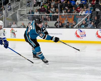Image post by @sjbarracuda on Twitter