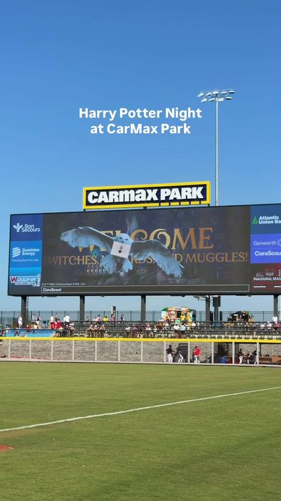 Video post by @gosquirrels on TikTok