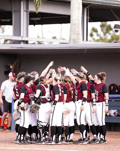 Image post by @siu_softball on Instagram