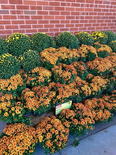 Image post by @starmarket on Facebook