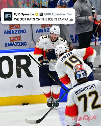 Image post by @FlaPanthers on Twitter