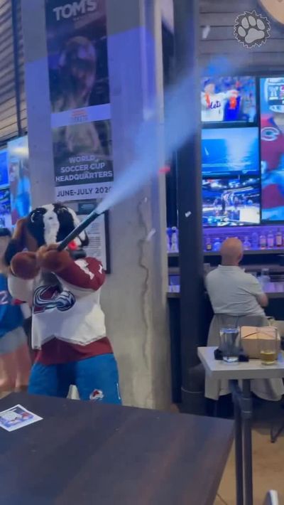 Video post by @avsbernie on Instagram