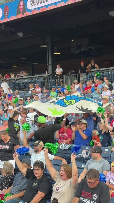 Video post by @gosquirrels on TikTok