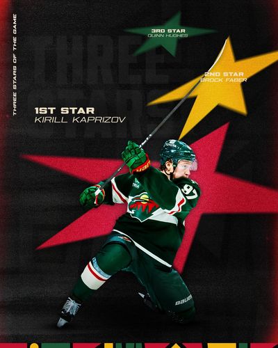 Image post by @minnesotawild on Instagram